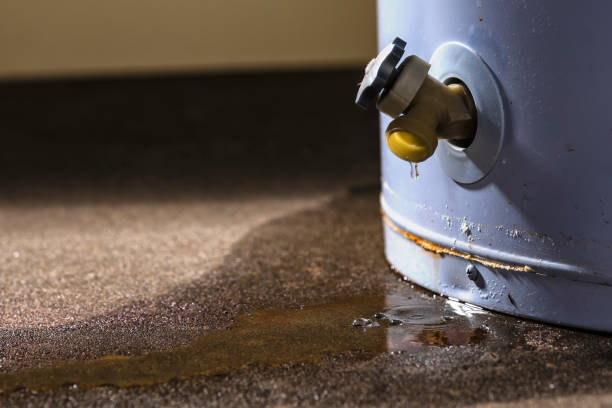 Best Local water damage restoration  in Sherman, TX