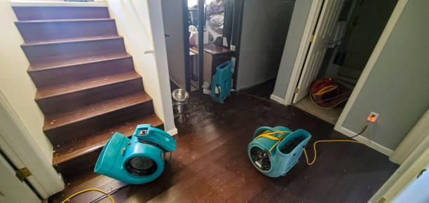 Best Ceiling water damage repair  in Sherman, TX
