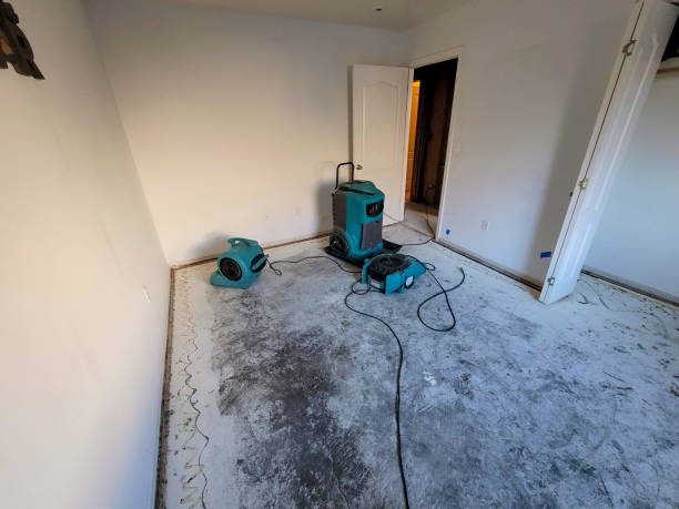 Best Basement water damage restoration  in Sherman, TX