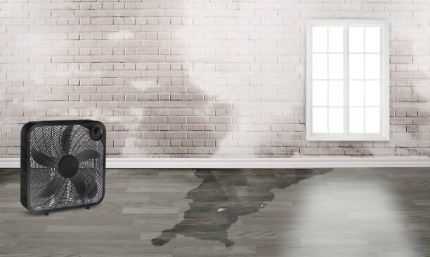 Best Flooded house restoration  in Sherman, TX