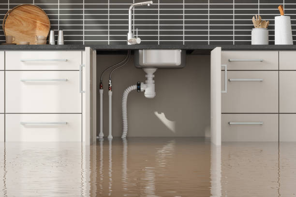 Reliable Sherman, TX Water damage restoration Solutions