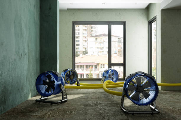 Water damage restoration experts in Sherman, TX
